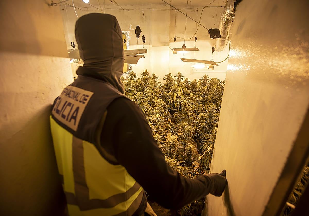 Redada antidroga en la zona norte de Granada