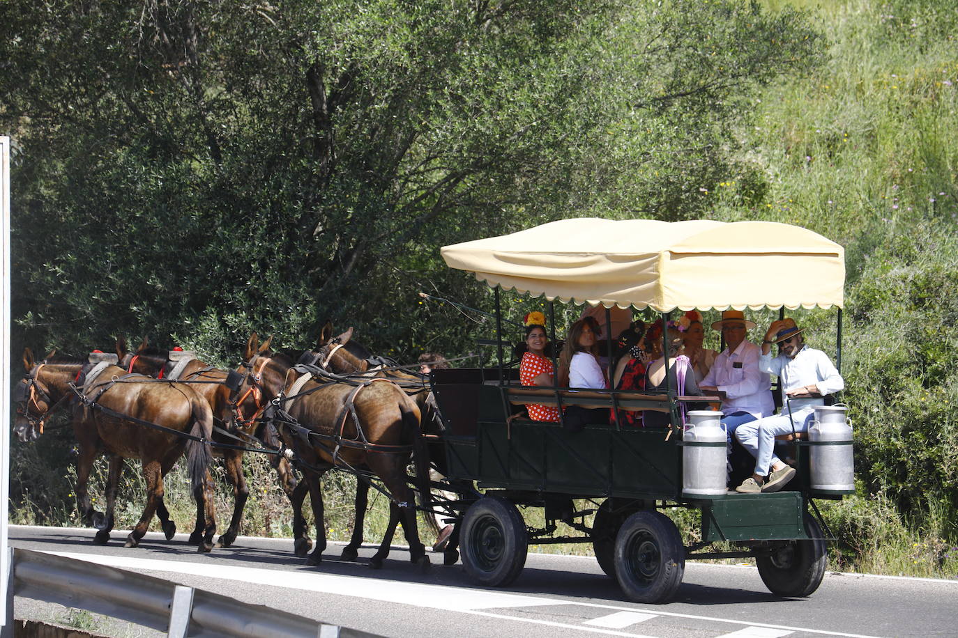 Fotos: la colorida romería de Santo Domingo en Córdoba