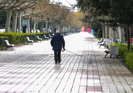 El Ayuntamiento de Valladolid obligará a limpiar con agua jabonada los orines de los perros