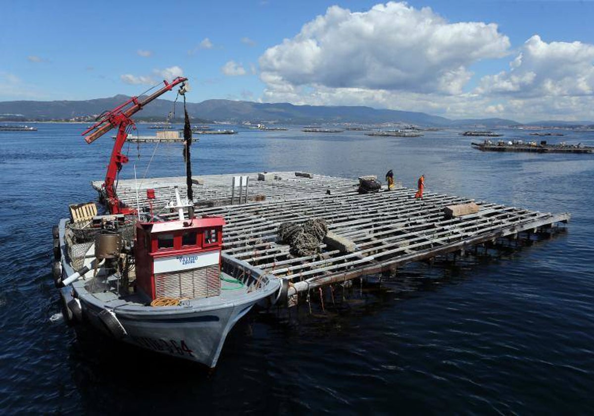 Una batea de la Ría de Arousa, en una imagen de archivo