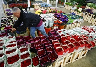 Barcelona inicia un Sant Jordi que aspira a batir récord de ventas de libros y rosas