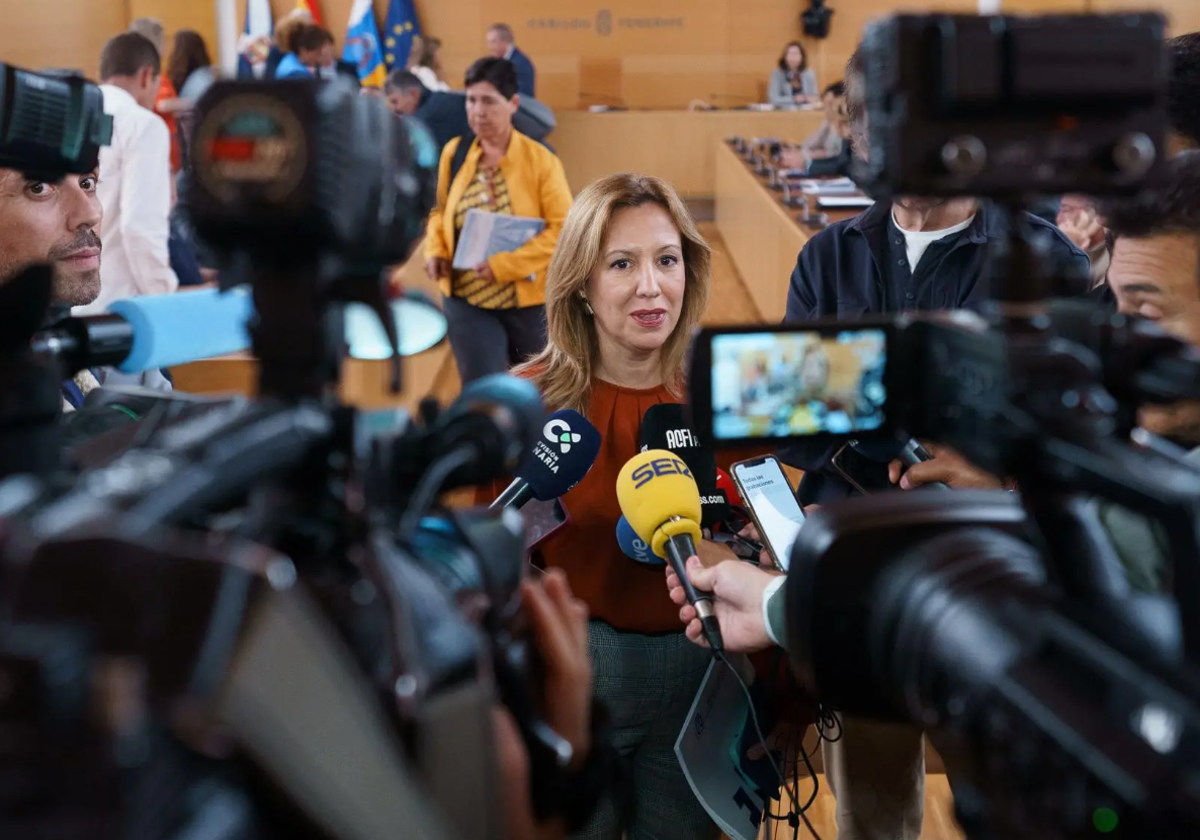 La presidenta del Cabildo de Tenerife, Rosa Dávila, atiende a los medios de comunicación en una foto de marzo de 2024