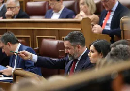 El líder de Vox, Santiago Abascal, este miércoles en el Congreso