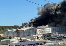 Más de medio millón de gallinas mueren en un incendio en una granja en Cuenca, una de las empresas de huevos más importantes de España