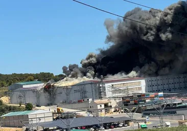 Más de medio millón de gallinas mueren en un incendio en una granja en Cuenca