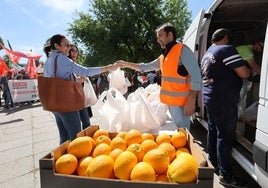 Los agricultores de Córdoba reparten naranjas para alertar de su situación: «Sin rentabilidad no hay futuro»