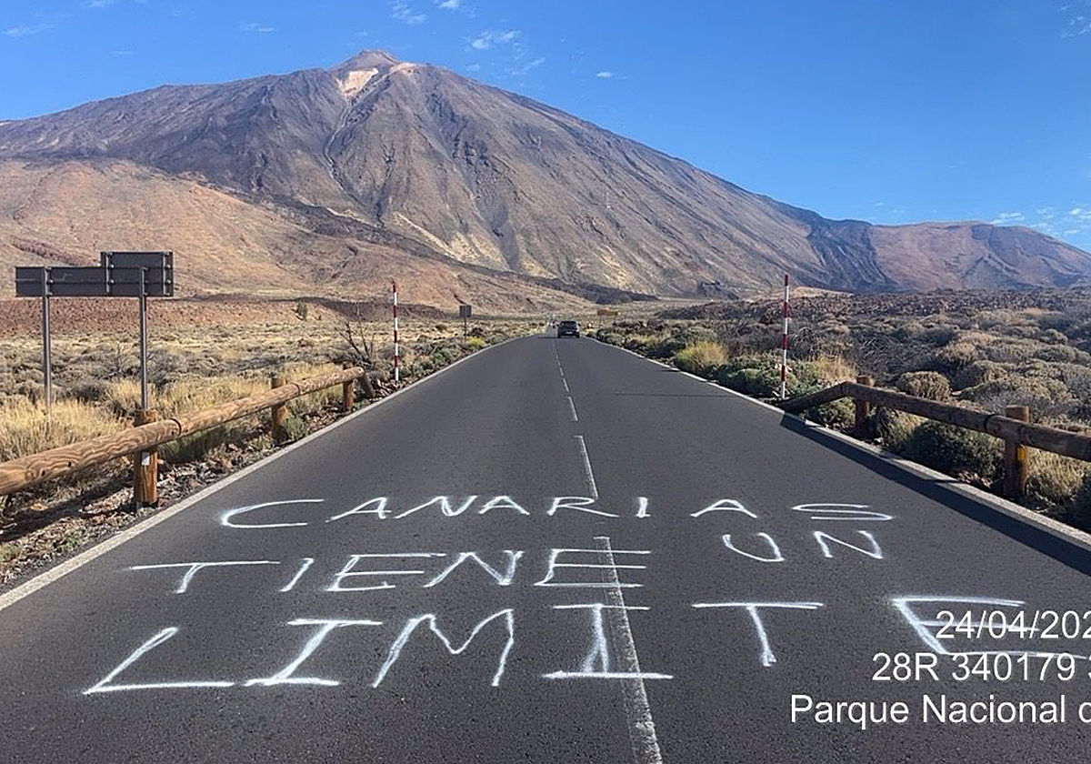 Pintadas en el Parque Nacional del Teide