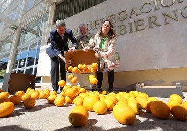 La protesta de los agricultores de Córdoba