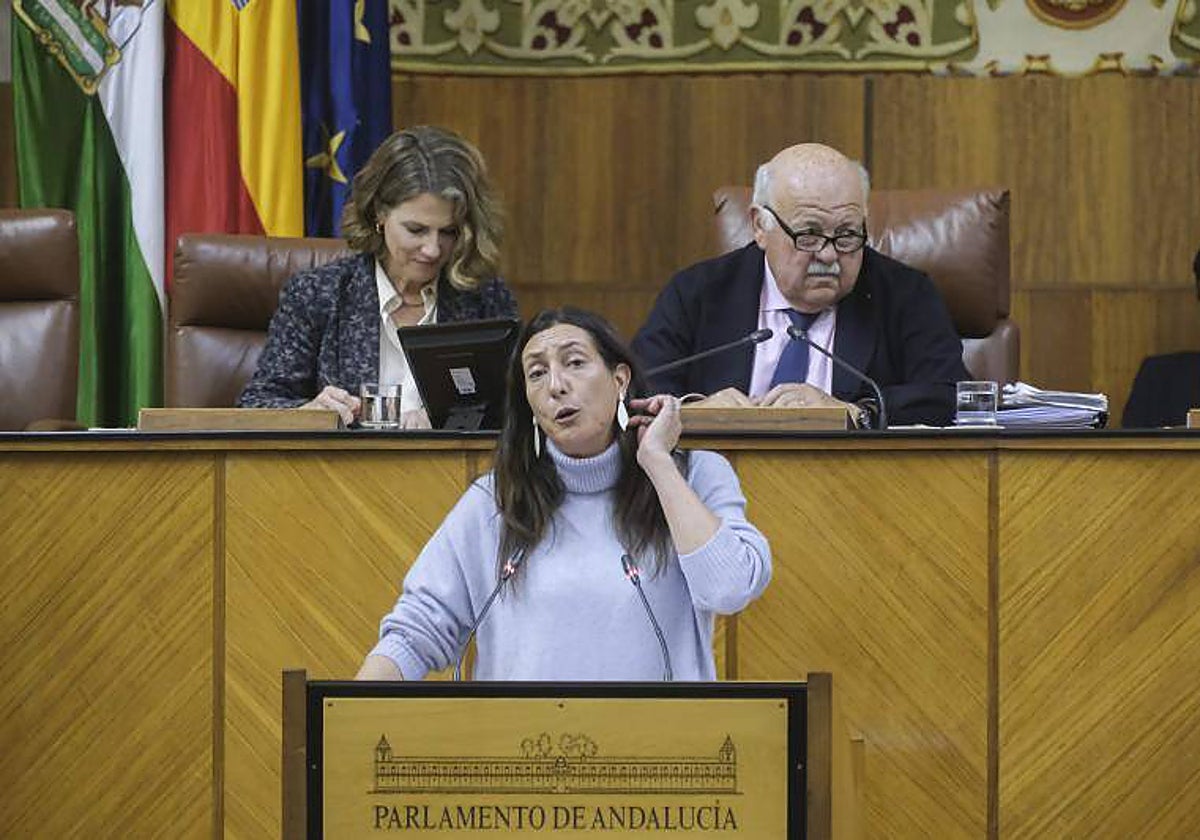 La consejera Loles López