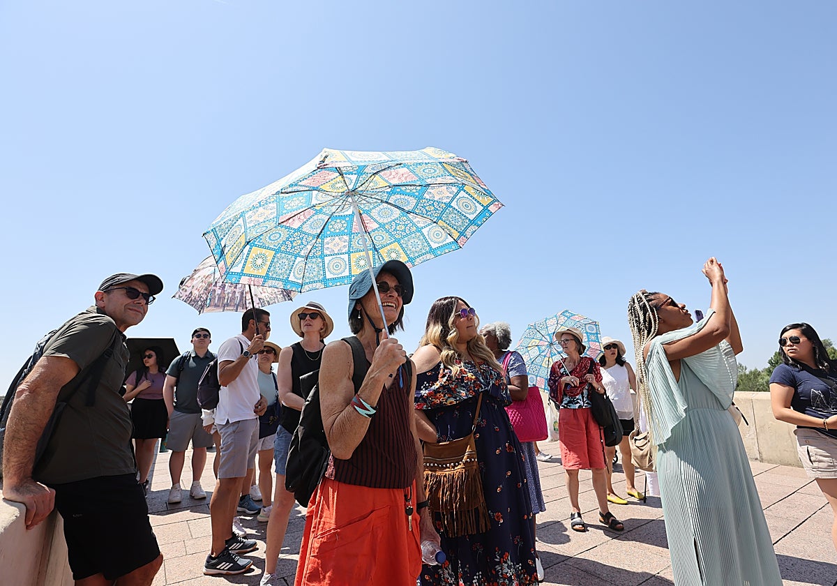 16 rutas y vistas marcarán el itinerario de las Jornadas de Mayores 2024