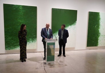 El artista asturiano Hugo Fontela siembra de verde las paredes del Museo Esteban Vicente