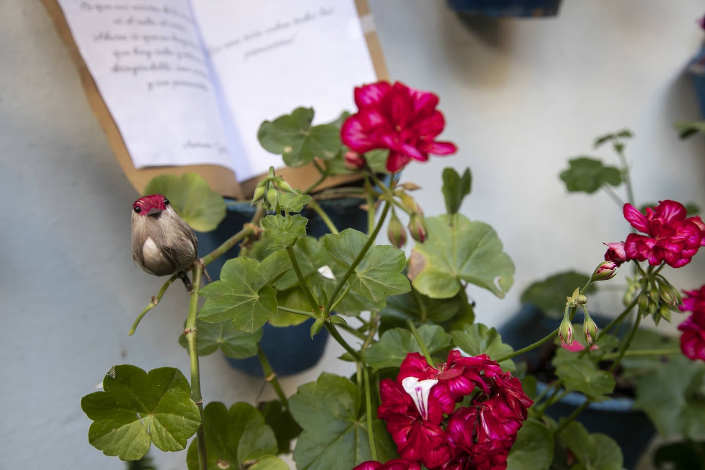 Las imágenes de las Cruces de Córdoba ganadoras del concurso 2024