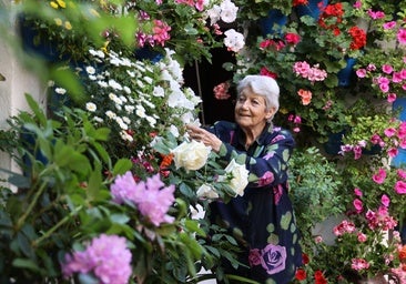 ¿Por qué la Unesco declaró los Patios de Córdoba como Patrimonio de la Humanidad?