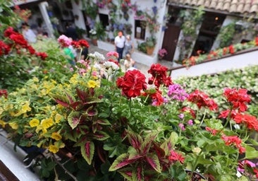 ¿Qué tiempo hará durante los Patios de Córdoba 2024?