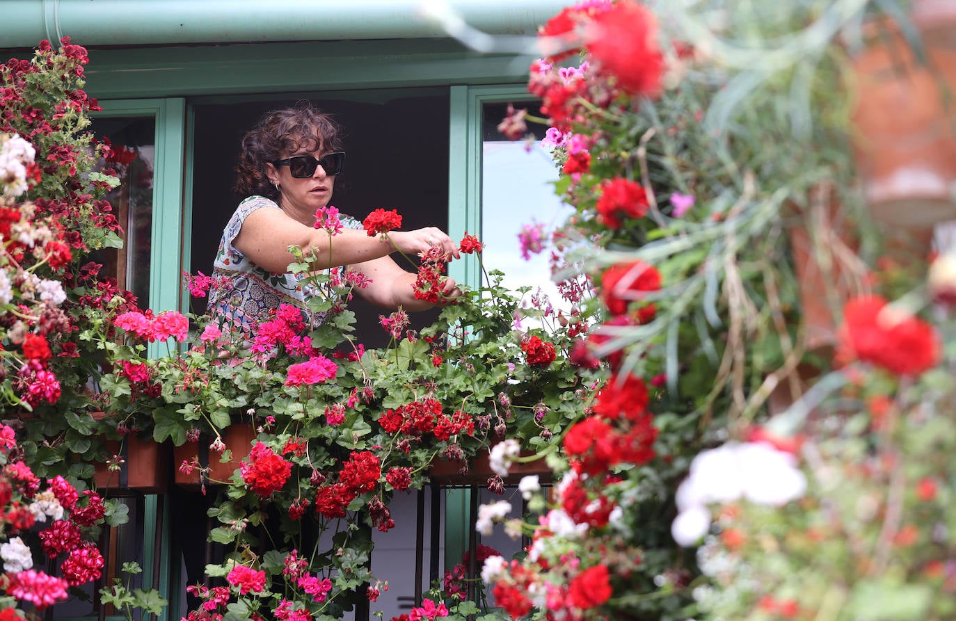 Fotos: los preparativos para el comienzo de los Patios de Córdoba