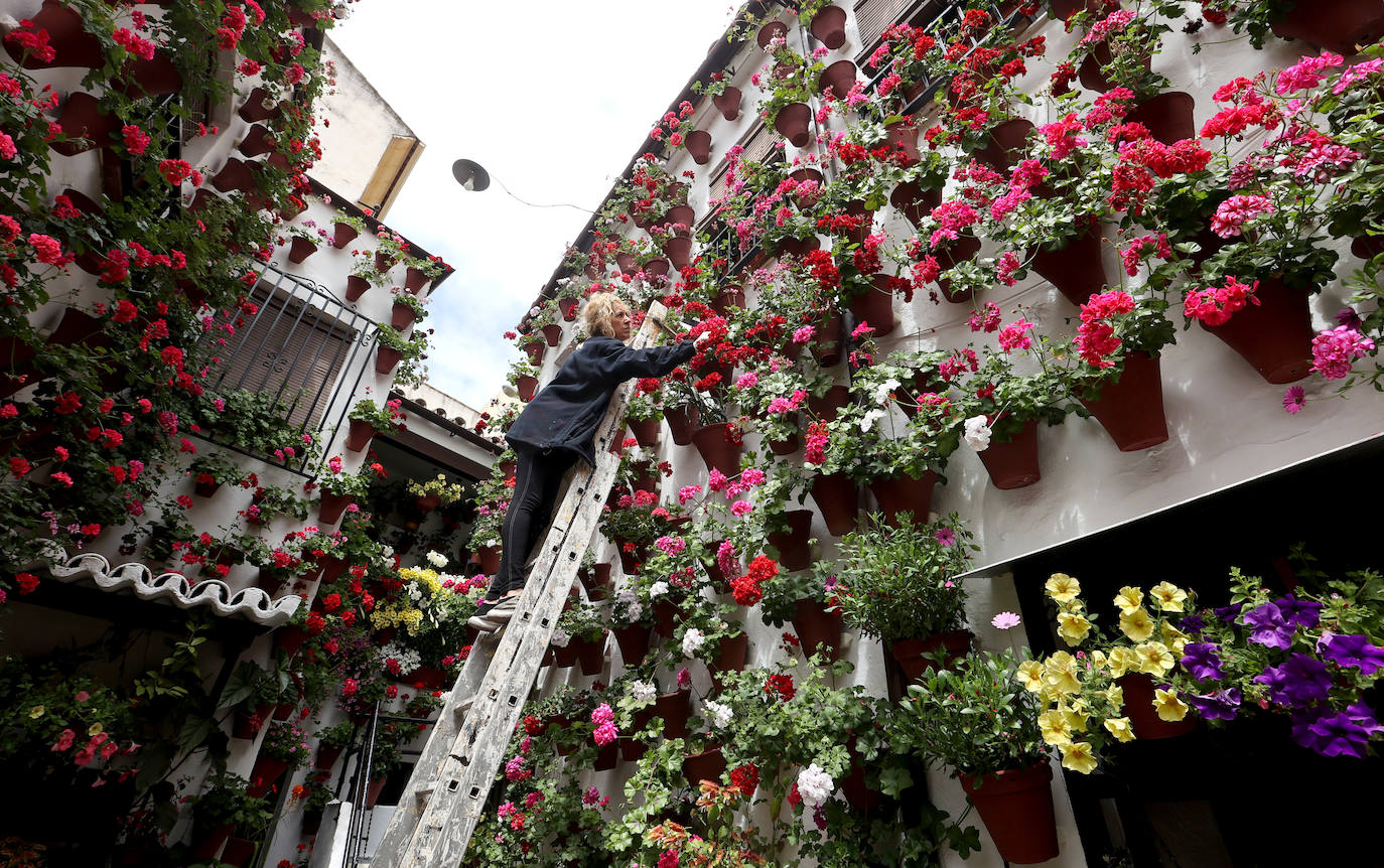 Fotos: los preparativos para el comienzo de los Patios de Córdoba