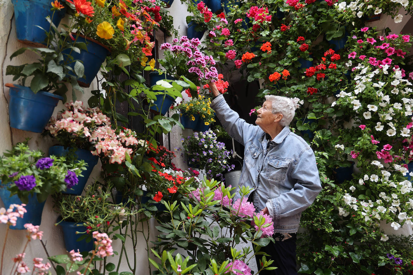 Fotos: los preparativos para el comienzo de los Patios de Córdoba