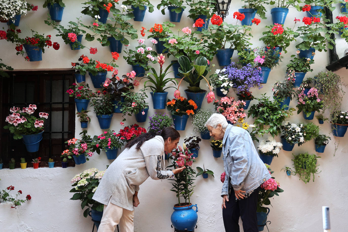 Fotos: los preparativos para el comienzo de los Patios de Córdoba
