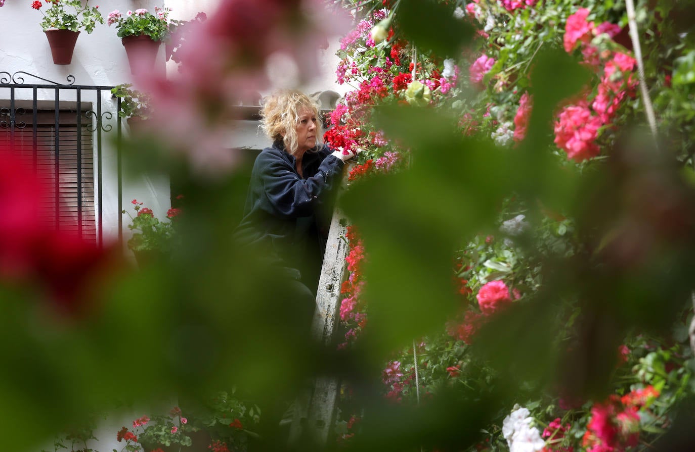 Fotos: los preparativos para el comienzo de los Patios de Córdoba