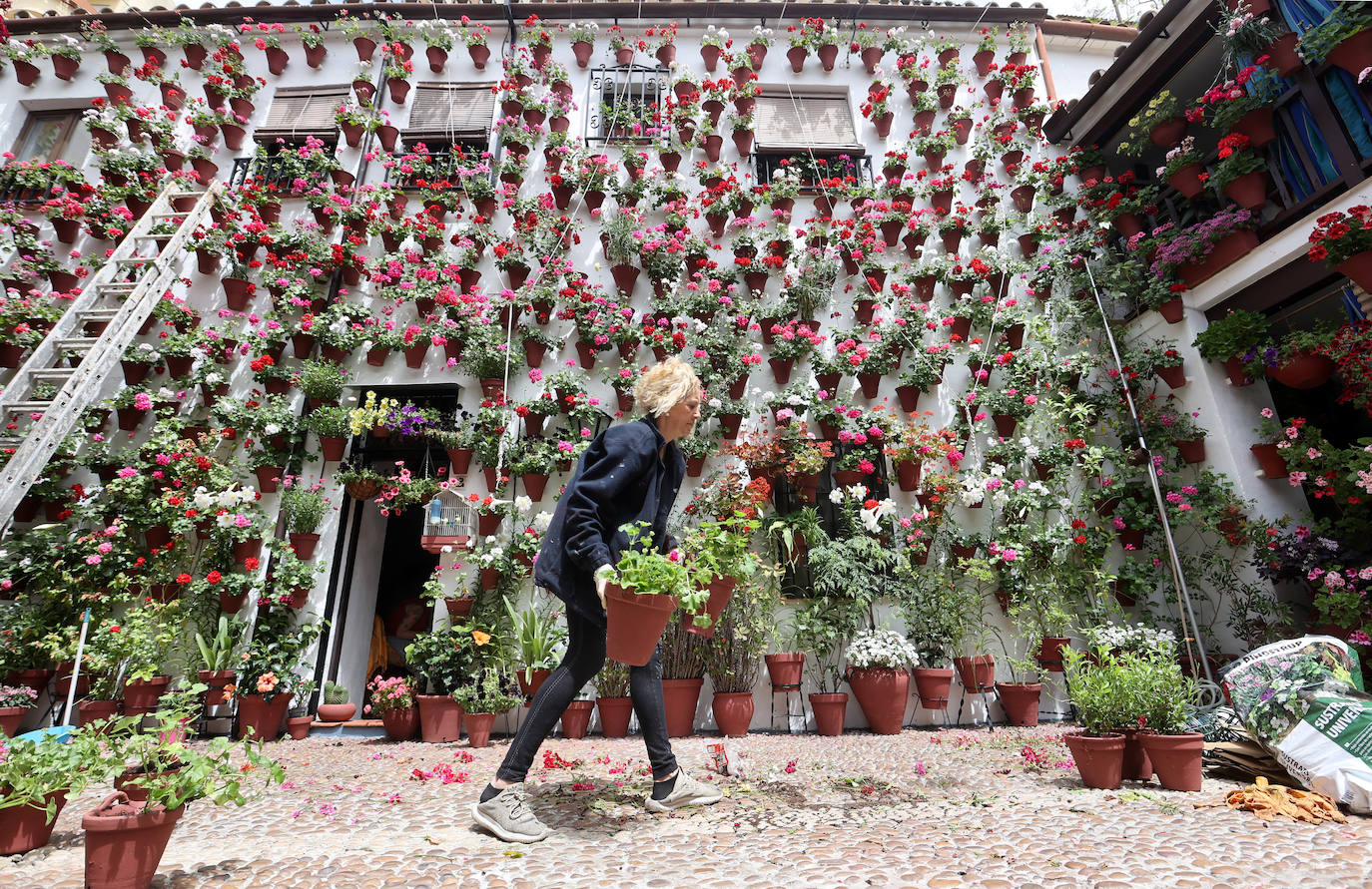 Fotos: los preparativos para el comienzo de los Patios de Córdoba