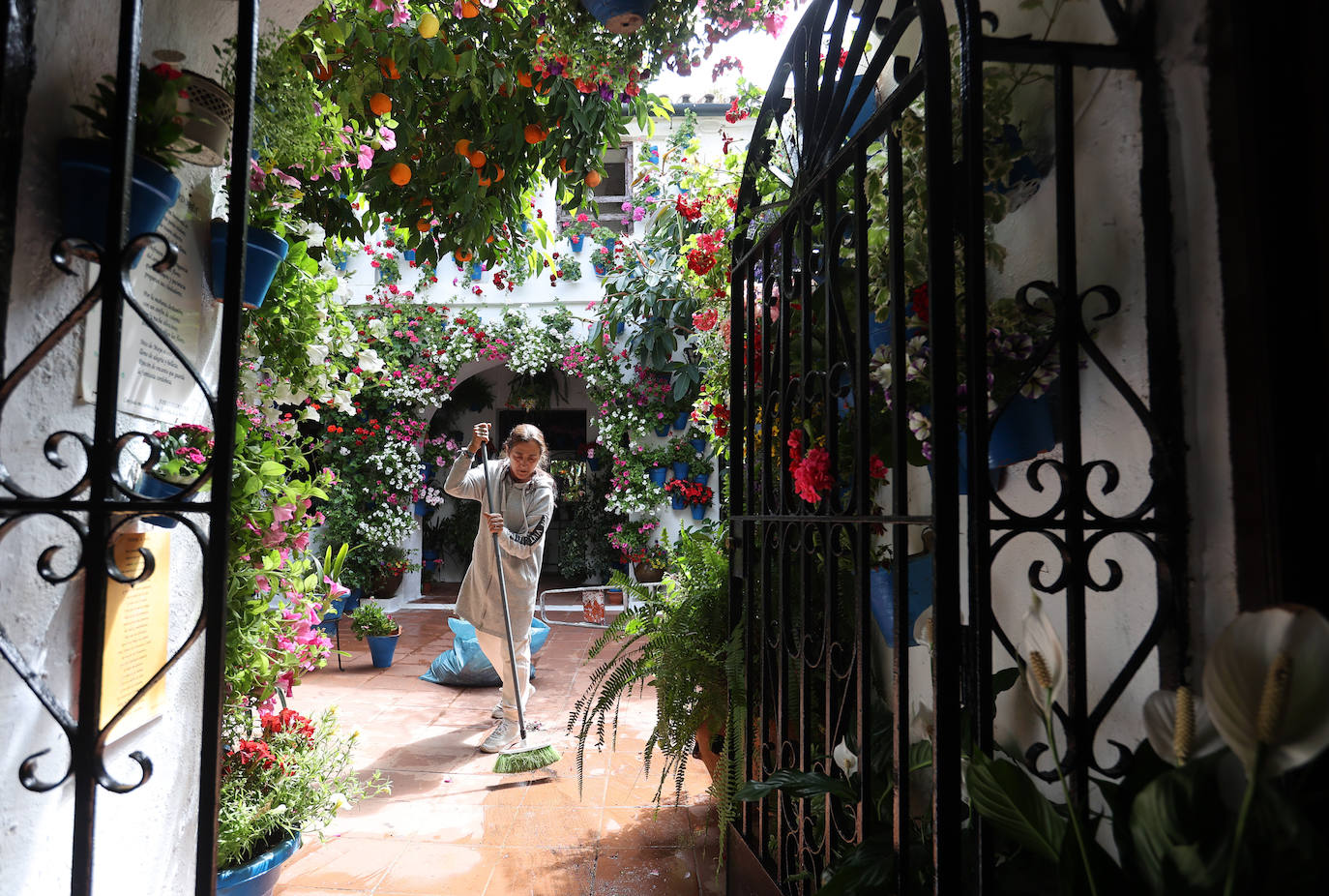 Fotos: los preparativos para el comienzo de los Patios de Córdoba