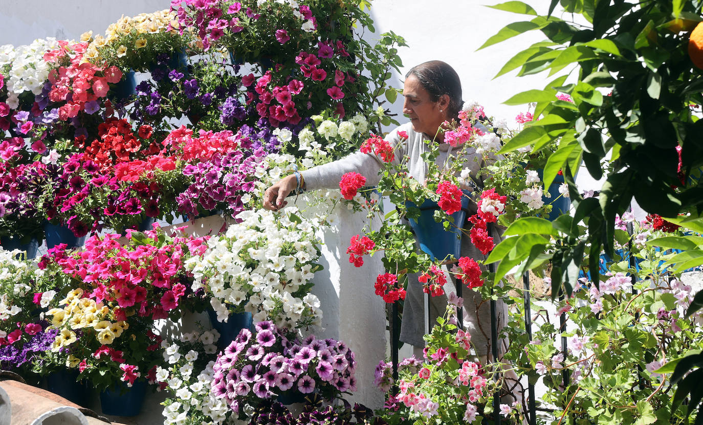 Fotos: los preparativos para el comienzo de los Patios de Córdoba