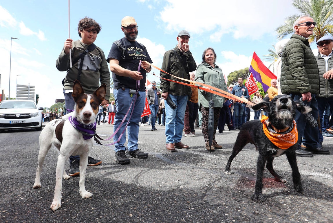 Fotos: La manifestación del 1 de mayo en Córdoba