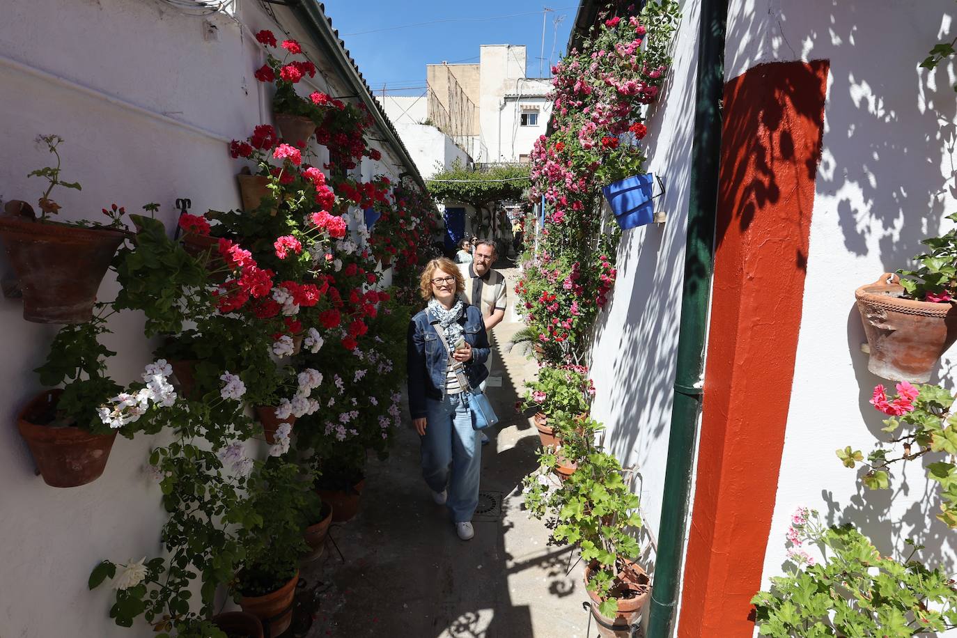 Las mejores imágenes de los Patios de Córdoba en los barrios de Santa Marina y San Agustín