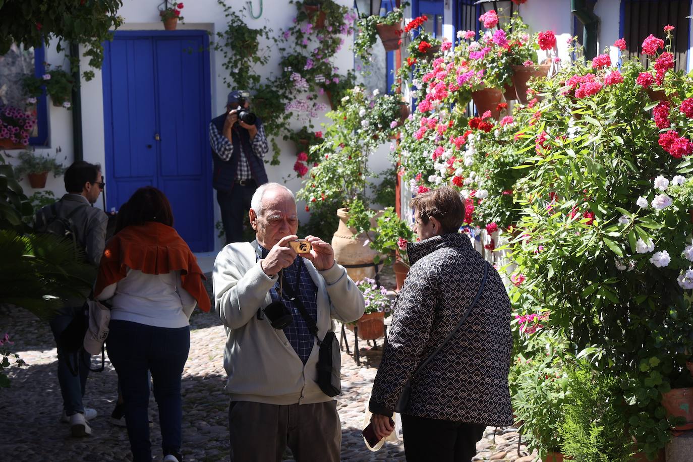 Las mejores imágenes de los Patios de Córdoba en los barrios de Santa Marina y San Agustín
