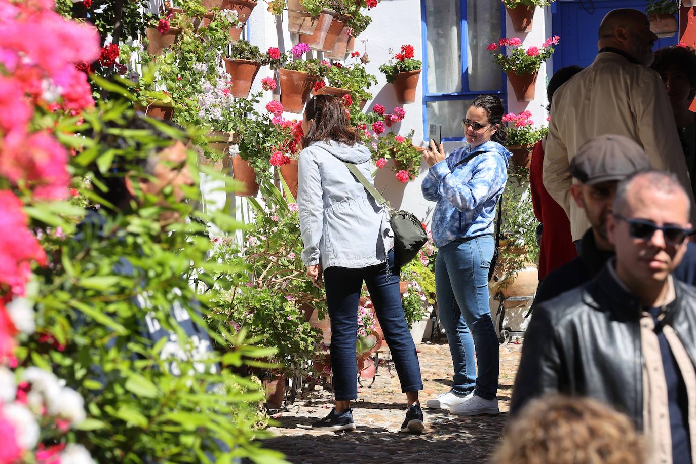 Las mejores imágenes de los Patios de Córdoba en los barrios de Santa Marina y San Agustín