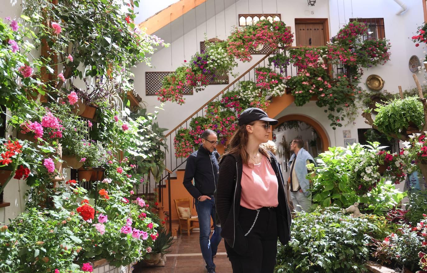Las mejores imágenes de los Patios de Córdoba en los barrios de Santa Marina y San Agustín