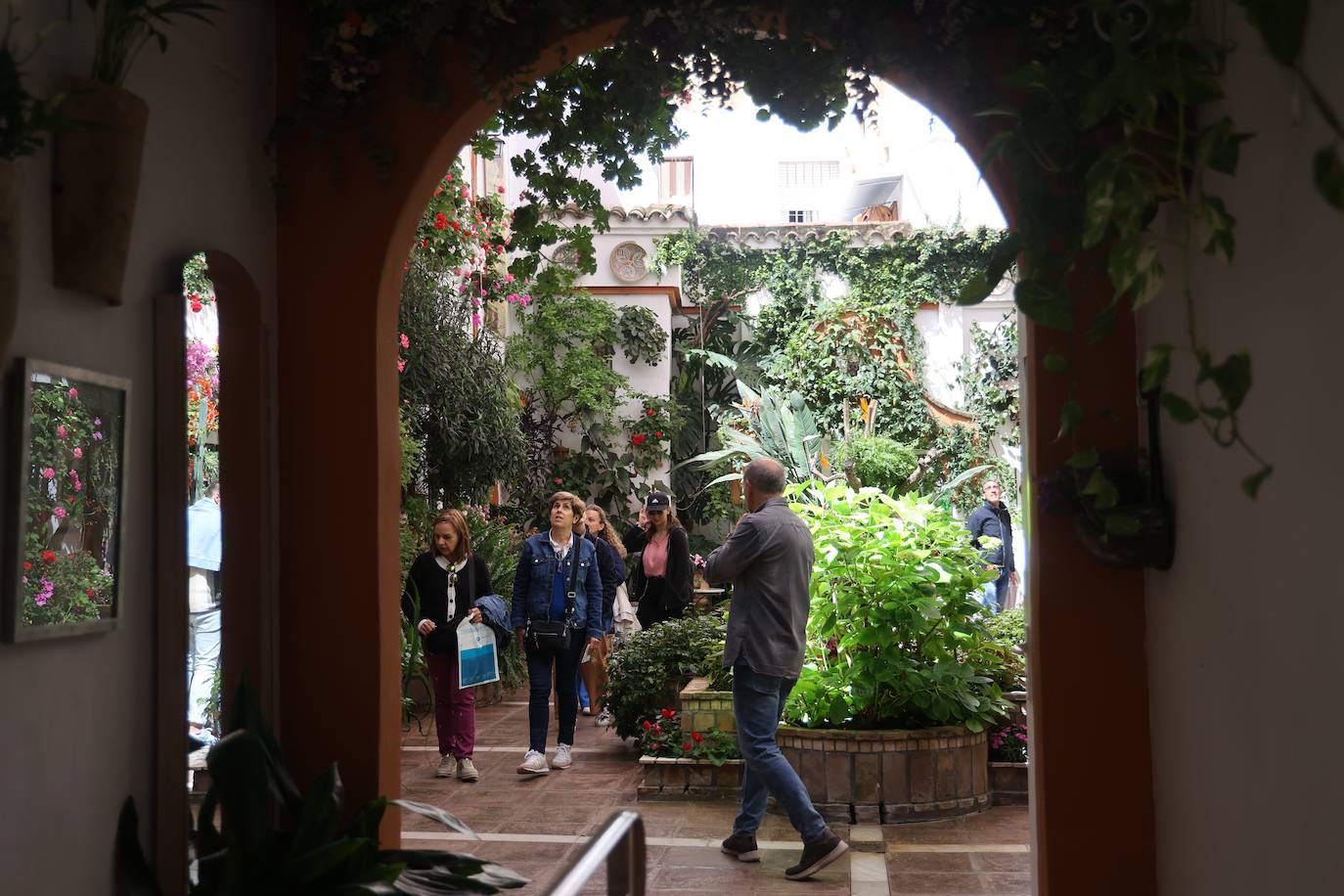 Las mejores imágenes de los Patios de Córdoba en los barrios de Santa Marina y San Agustín