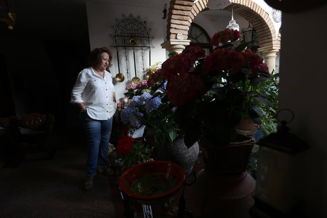 Las mejores imágenes de los Patios de Córdoba en los barrios de Santa Marina y San Agustín