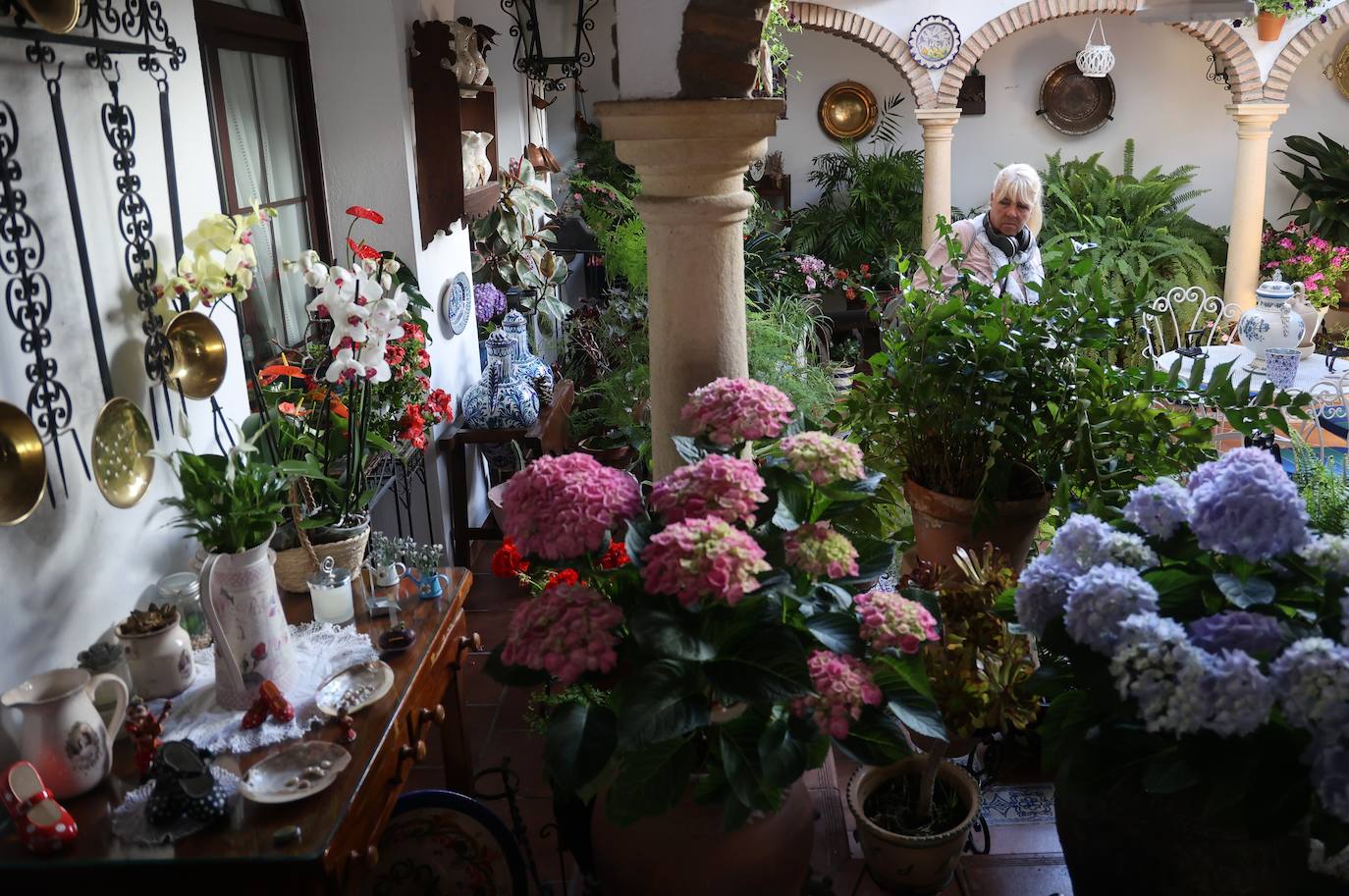 Las mejores imágenes de los Patios de Córdoba en los barrios de Santa Marina y San Agustín