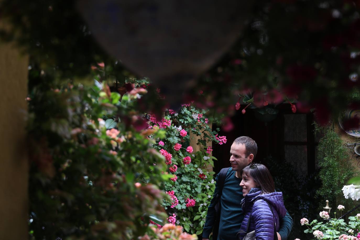 Las mejores imágenes de los Patios de Córdoba en los barrios de Santa Marina y San Agustín