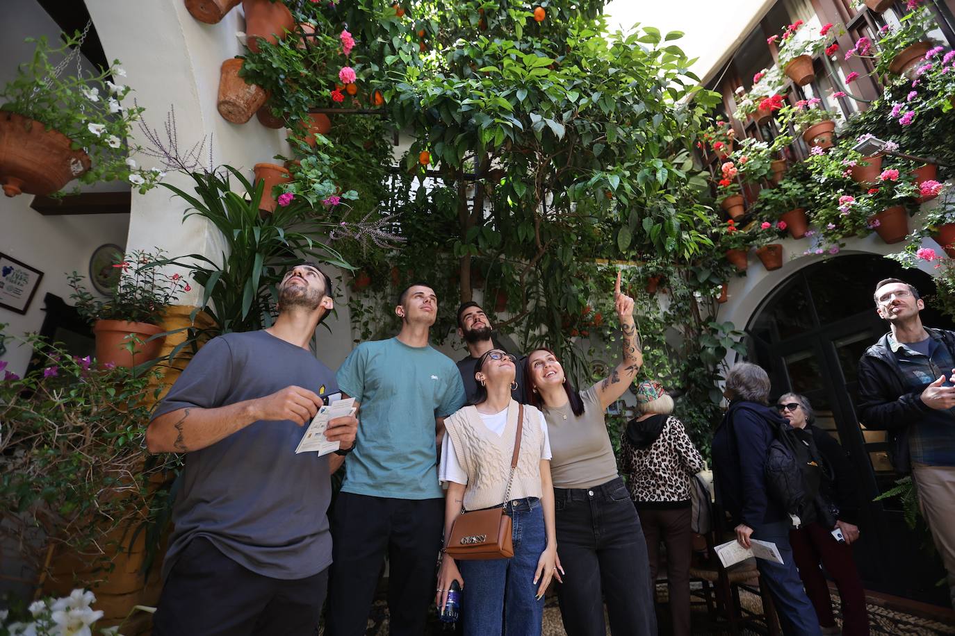 Las mejores imágenes de los Patios de Córdoba en los barrios de Santa Marina y San Agustín