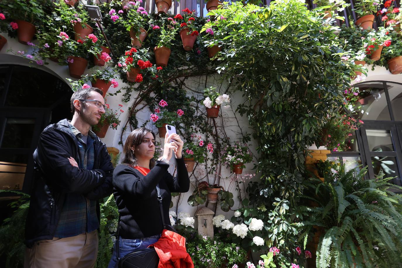 Las mejores imágenes de los Patios de Córdoba en los barrios de Santa Marina y San Agustín