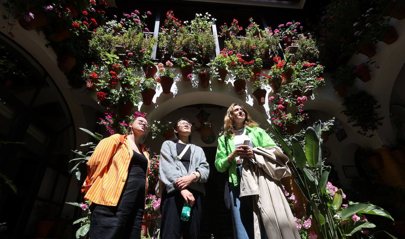 Las mejores imágenes de los Patios de Córdoba en los barrios de Santa Marina y San Agustín