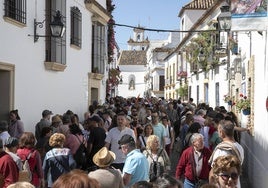 «Nos encantan las flores y los colores, aquí en los Patios podemos difrutarlo todo junto»