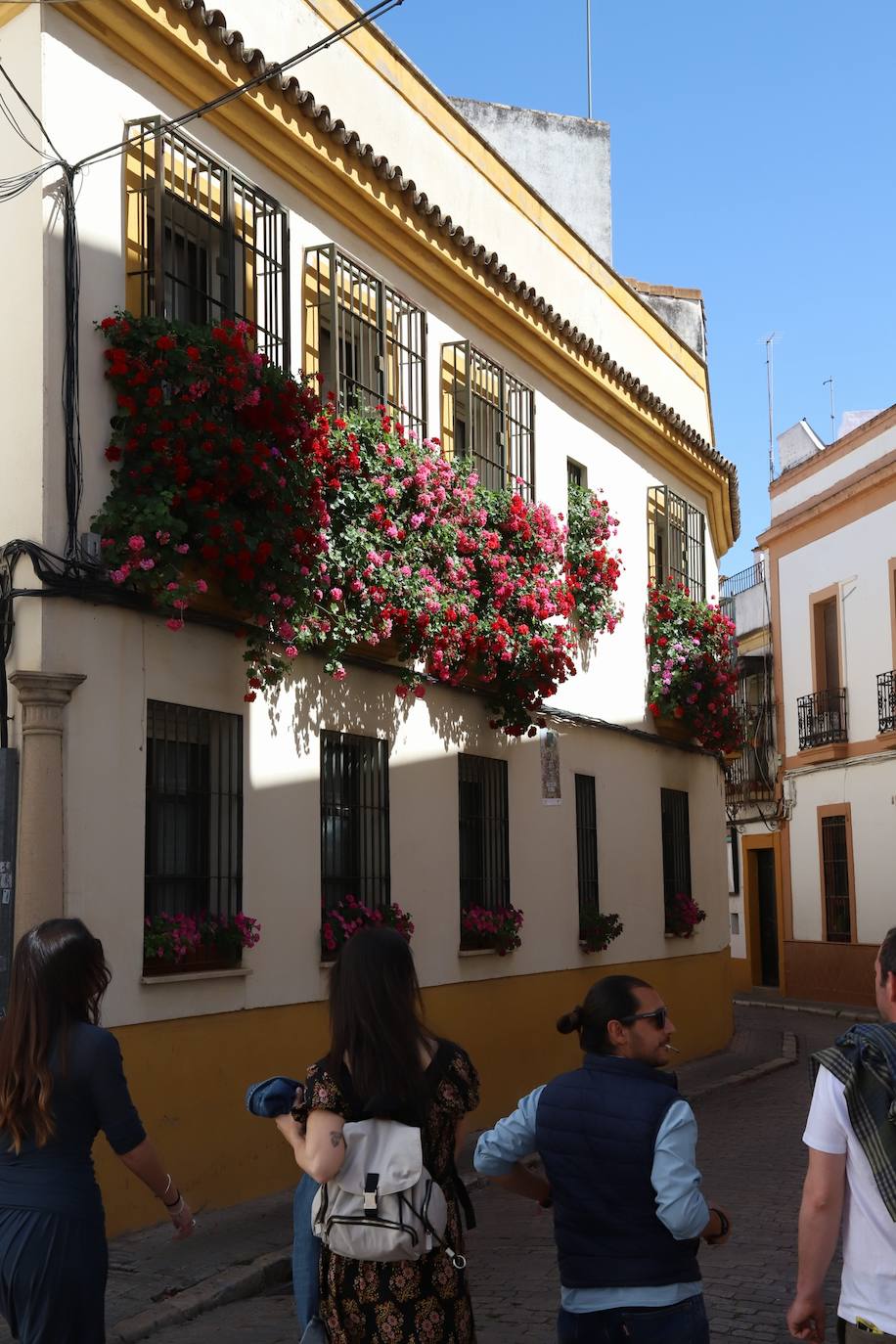 Fotos: Los bellos primeros premios del Concurso de Rejas y Balcones de Córdoba 2024