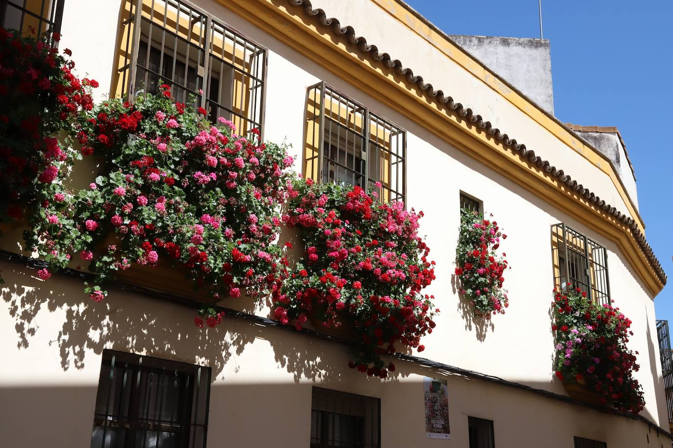 Fotos: Los bellos primeros premios del Concurso de Rejas y Balcones de Córdoba 2024