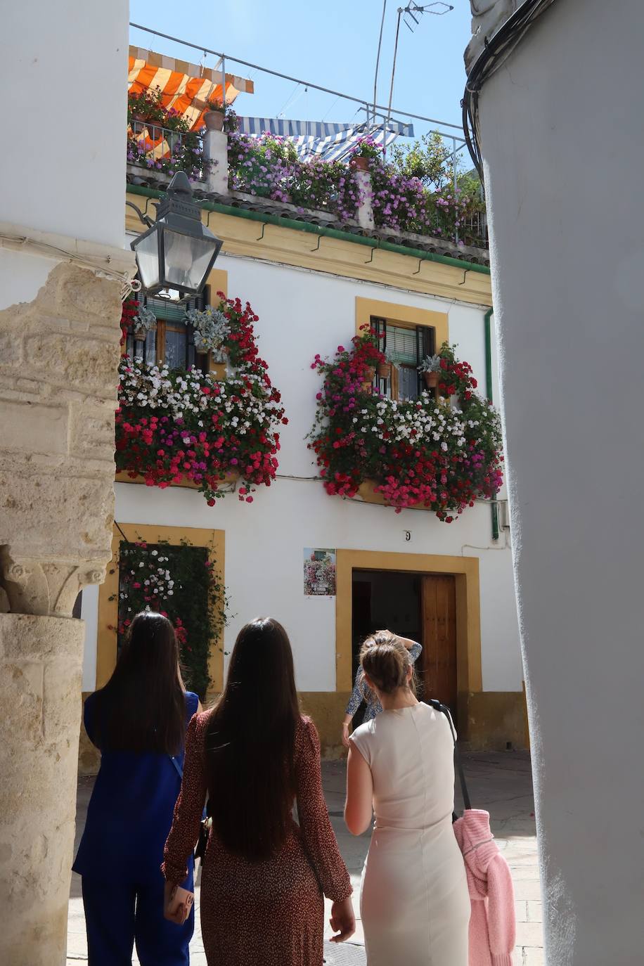 Fotos: Los bellos primeros premios del Concurso de Rejas y Balcones de Córdoba 2024