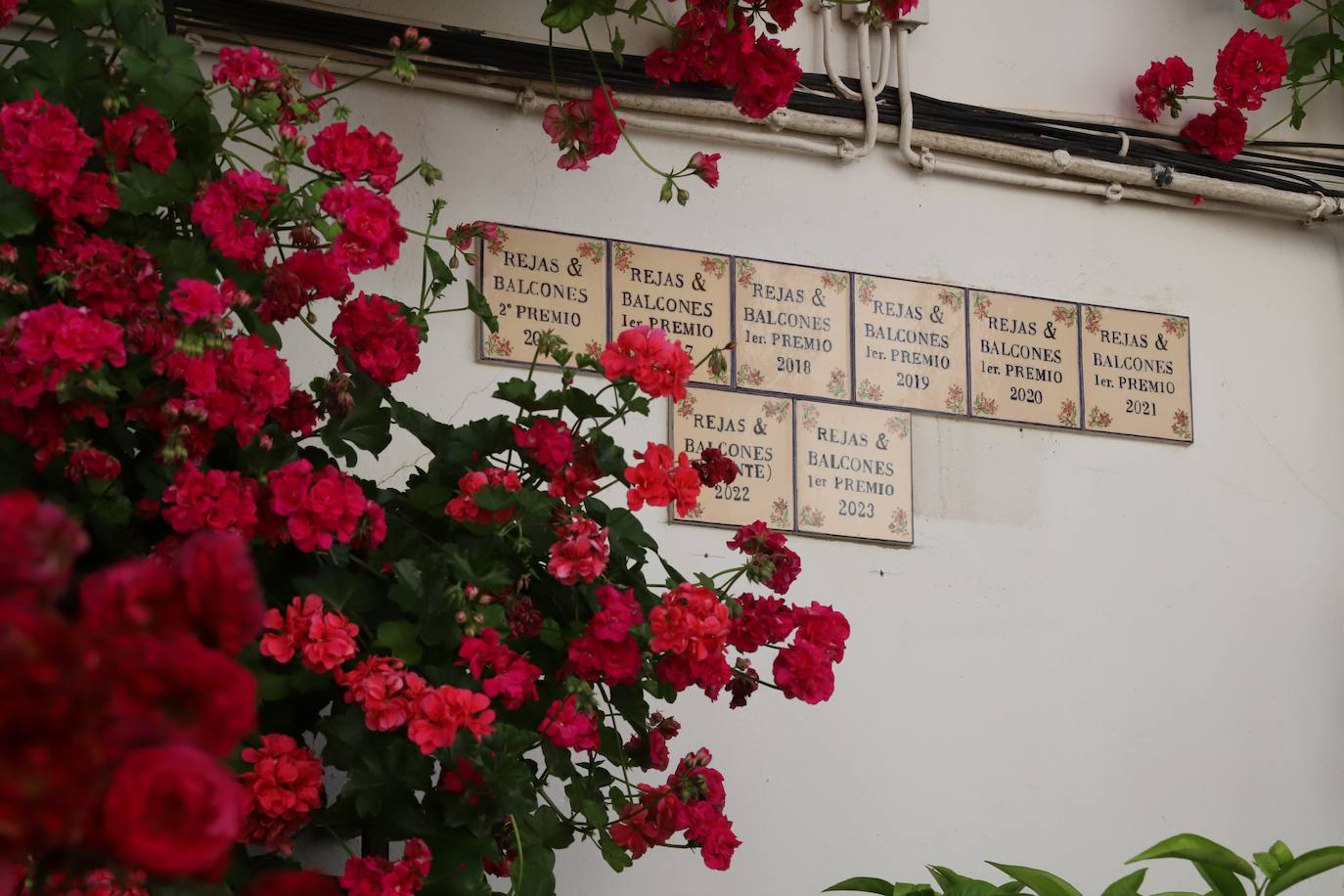 Fotos: Los bellos primeros premios del Concurso de Rejas y Balcones de Córdoba 2024