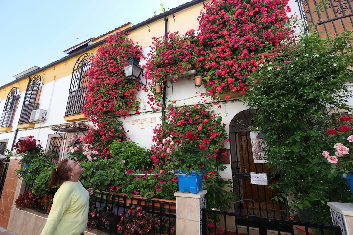 Fotos: Los bellos primeros premios del Concurso de Rejas y Balcones de Córdoba 2024