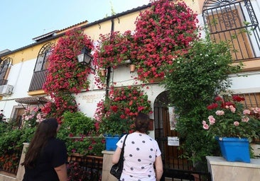 Fotos: Los bellos primeros premios del Concurso de Rejas y Balcones