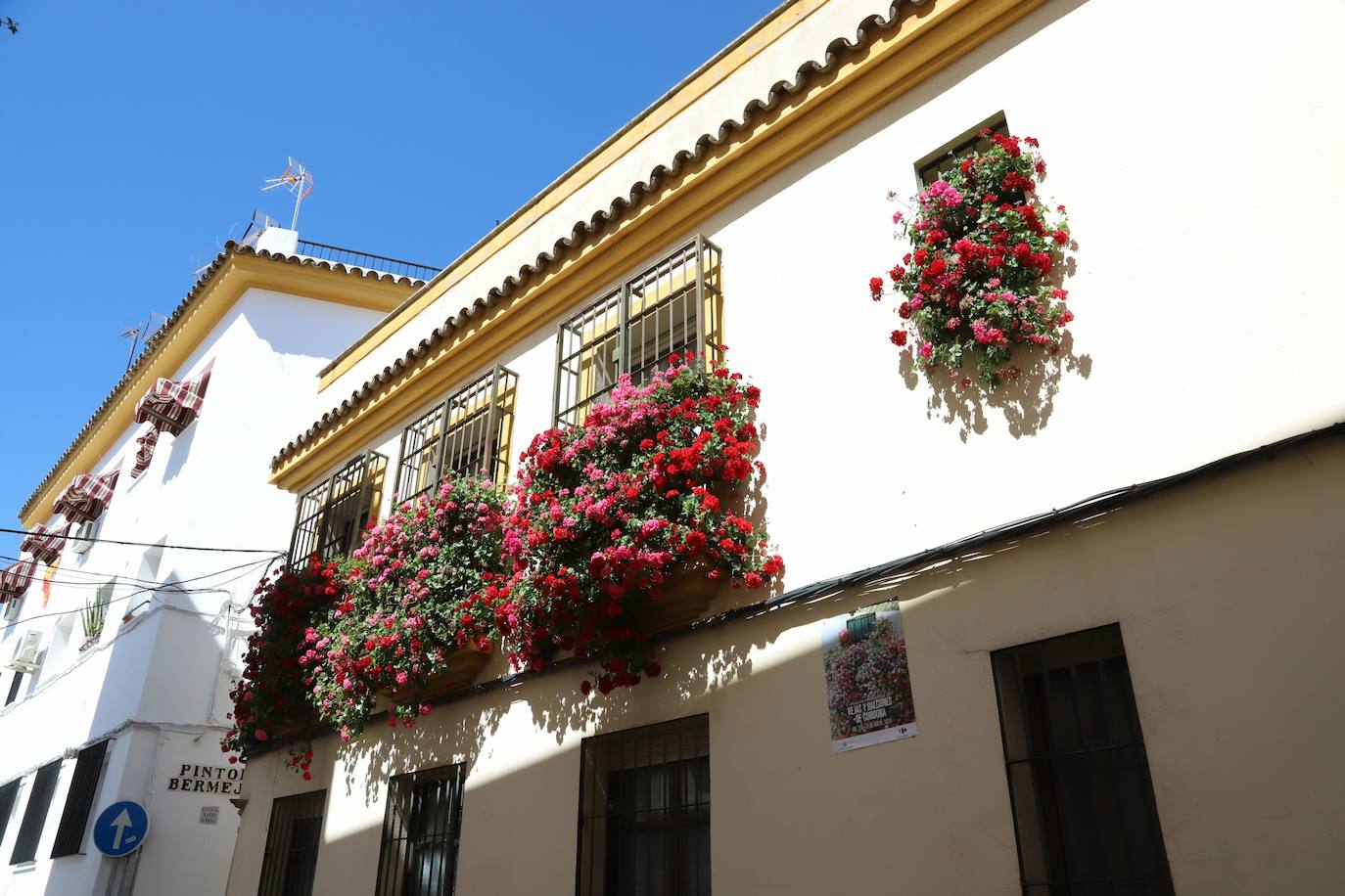 Fotos: Los bellos primeros premios del Concurso de Rejas y Balcones de Córdoba 2024