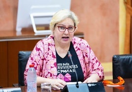 La Fundación Ana Bella propone que la Junta de Andalucía cree su propia aplicación para impedir el acceso de los menores al porno