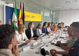 Así será el dispositivo de seguridad de la Romería Rocío 24: 294 cámaras de vigilancia, 13 drones y 3.200 agentes