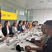 Así será el dispositivo de seguridad de la Romería Rocío 24: 294 cámaras de vigilancia, 13 drones y 3.200 agentes