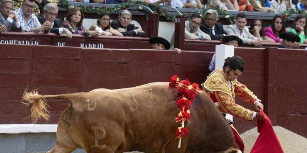 Vox propone que el mundo del toro y los espectáculos taurinos lleguen al ámbito educativo